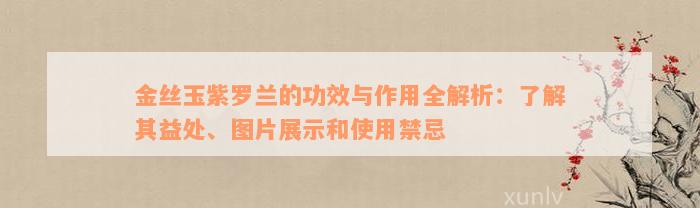 金丝玉紫罗兰的功效与作用全解析：了解其益处、图片展示和使用禁忌