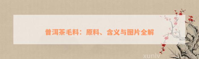 普洱茶毛料：原料、含义与图片全解