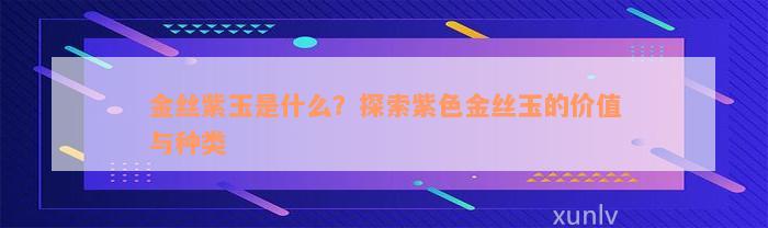 金丝紫玉是什么？探索紫色金丝玉的价值与种类