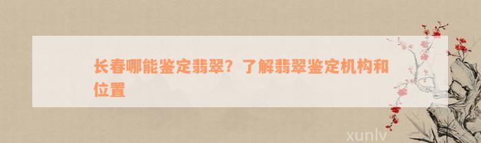 长春哪能鉴定翡翠？了解翡翠鉴定机构和位置