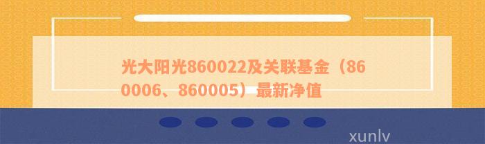 光大阳光860022及关联基金（860006、860005）最新净值