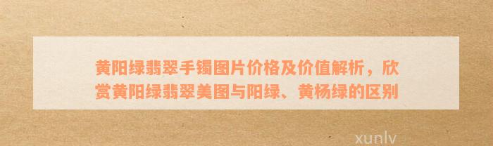 黄阳绿翡翠手镯图片价格及价值解析，欣赏黄阳绿翡翠美图与阳绿、黄杨绿的区别