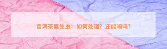 普洱茶里生虫：如何处理？还能喝吗？