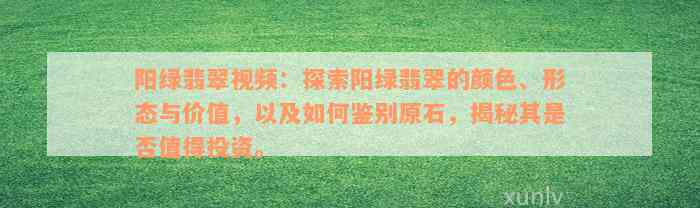 阳绿翡翠视频：探索阳绿翡翠的颜色、形态与价值，以及如何鉴别原石，揭秘其是否值得投资。