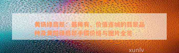 黄扬绿翡翠：最稀有、价值连城的翡翠品种及黄阳绿翡翠手镯价格与图片全览