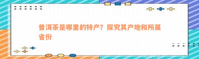 普洱茶是哪里的特产？探究其产地和所属省份