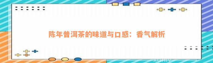 陈年普洱茶的味道与口感：香气解析