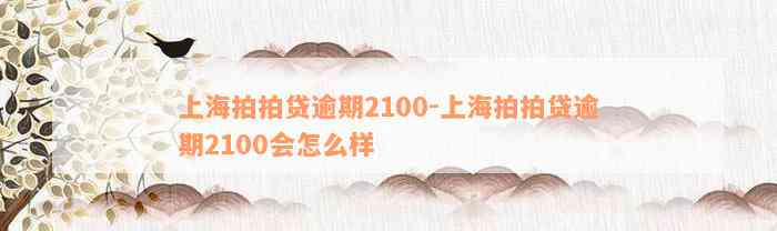 上海拍拍贷逾期2100-上海拍拍贷逾期2100会怎么样