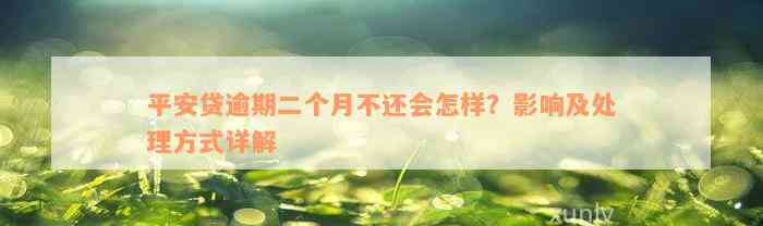 平安贷逾期二个月不还会怎样？影响及处理方式详解