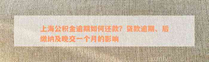 上海公积金逾期如何还款？贷款逾期、后缴纳及晚交一个月的影响