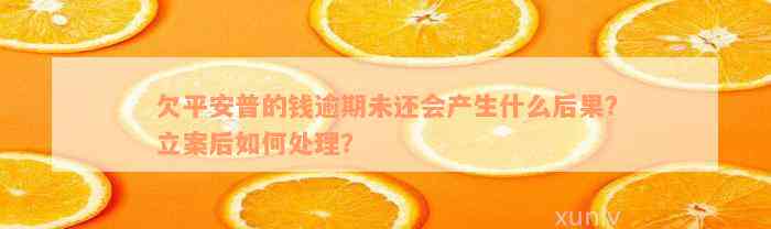 欠平安普的钱逾期未还会产生什么后果？立案后如何处理？