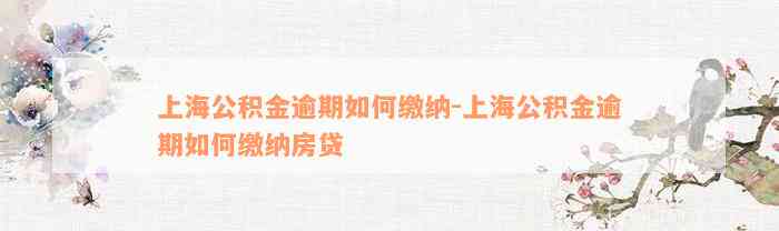 上海公积金逾期如何缴纳-上海公积金逾期如何缴纳房贷