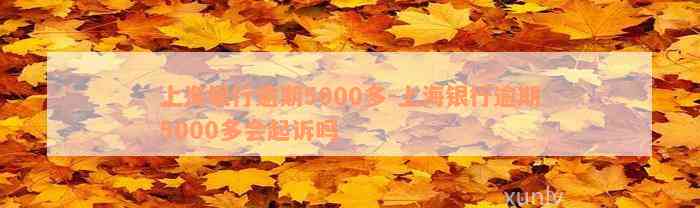 上海银行逾期5000多-上海银行逾期5000多会起诉吗