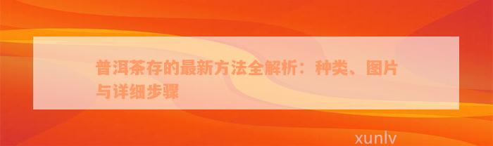 普洱茶存的最新方法全解析：种类、图片与详细步骤