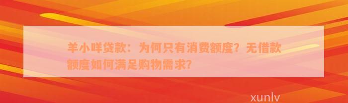 羊小咩贷款：为何只有消费额度？无借款额度如何满足购物需求？