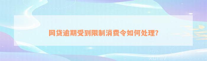 网贷逾期受到限制消费令如何处理？