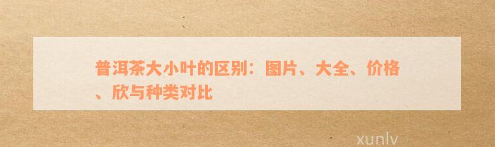 普洱茶大小叶的区别：图片、大全、价格、欣与种类对比