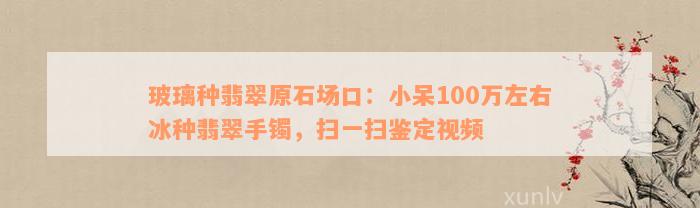 玻璃种翡翠原石场口：小呆100万左右冰种翡翠手镯，扫一扫鉴定视频