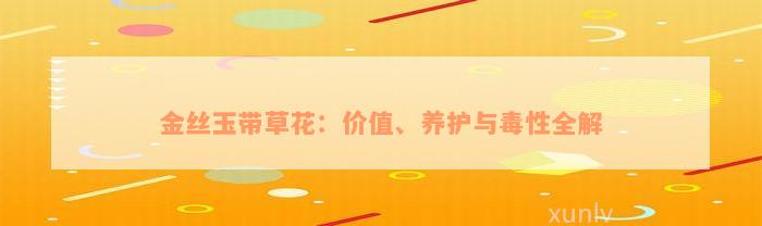 金丝玉带草花：价值、养护与毒性全解