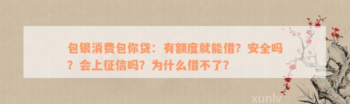 包银消费包你贷：有额度就能借？安全吗？会上征信吗？为什么借不了？