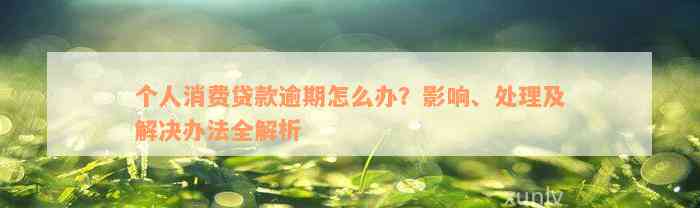 个人消费贷款逾期怎么办？影响、处理及解决办法全解析