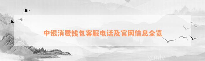 中银消费钱包客服电话及官网信息全览