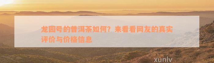 龙园号的普洱茶如何？来看看网友的真实评价与价格信息