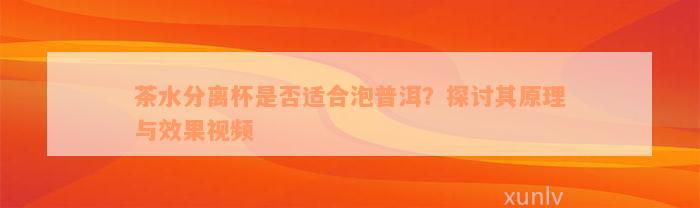 茶水分离杯是否适合泡普洱？探讨其原理与效果视频