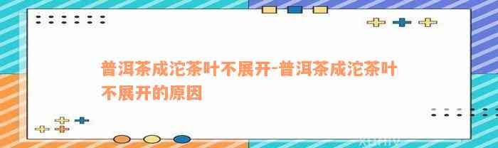 普洱茶成沱茶叶不展开-普洱茶成沱茶叶不展开的原因