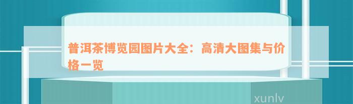 普洱茶博览园图片大全：高清大图集与价格一览