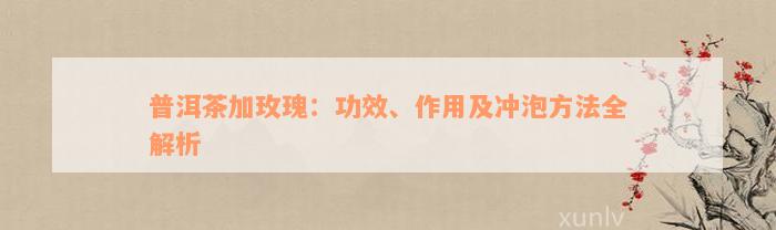 普洱茶加玫瑰：功效、作用及冲泡方法全解析