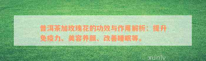 普洱茶加玫瑰花的功效与作用解析：提升免疫力、美容养颜、改善睡眠等。