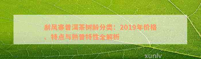 刮风寨普洱茶树龄分类：2019年价格、特点与熟普特性全解析