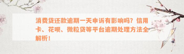 消费贷还款逾期一天申诉有影响吗？信用卡、花呗、微粒贷等平台逾期处理方法全解析！