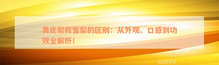 黄皮梨和雪梨的区别：从外观、口感到功效全解析！