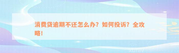 消费贷逾期不还怎么办？如何投诉？全攻略！