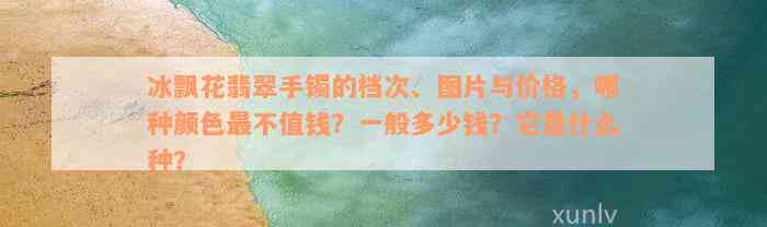 冰飘花翡翠手镯的档次、图片与价格，哪种颜色最不值钱？一般多少钱？它是什么种？