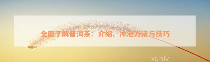 全面了解普洱茶：介绍、冲泡方法与技巧