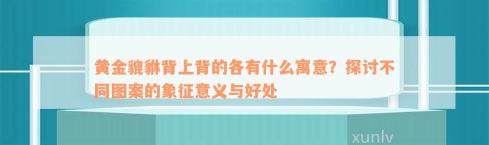 黄金貔貅背上背的各有什么寓意？探讨不同图案的象征意义与好处