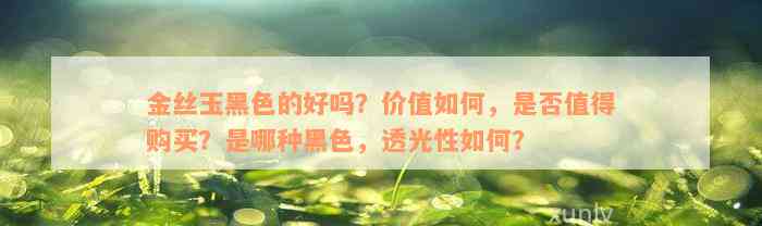 金丝玉黑色的好吗？价值如何，是否值得购买？是哪种黑色，透光性如何？