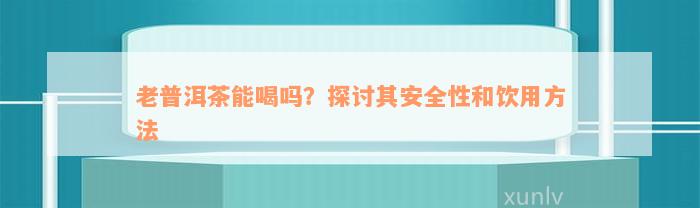 老普洱茶能喝吗？探讨其安全性和饮用方法