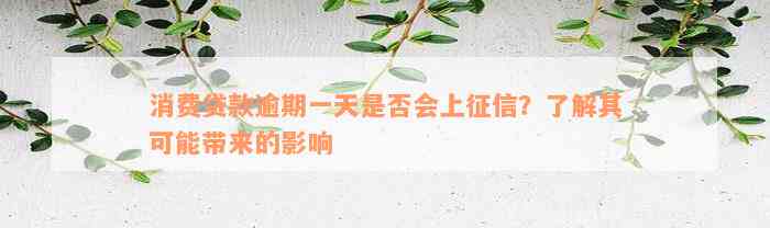 消费贷款逾期一天是否会上征信？了解其可能带来的影响