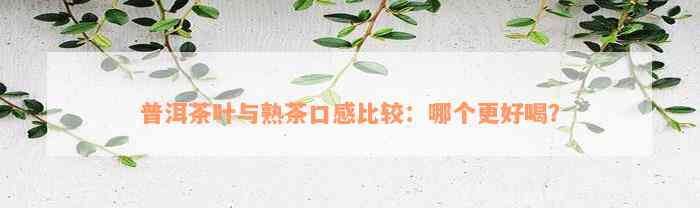 普洱茶叶与熟茶口感比较：哪个更好喝？