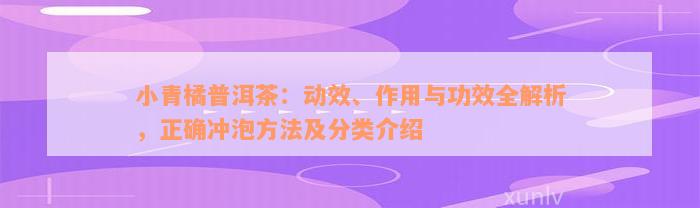 小青橘普洱茶：动效、作用与功效全解析，正确冲泡方法及分类介绍