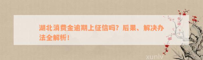 湖北消费金逾期上征信吗？后果、解决办法全解析！