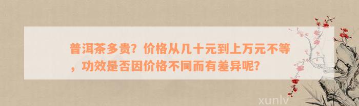 普洱茶多贵？价格从几十元到上万元不等，功效是否因价格不同而有差异呢？