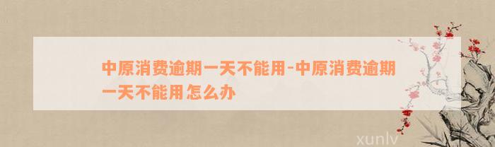 中原消费逾期一天不能用-中原消费逾期一天不能用怎么办