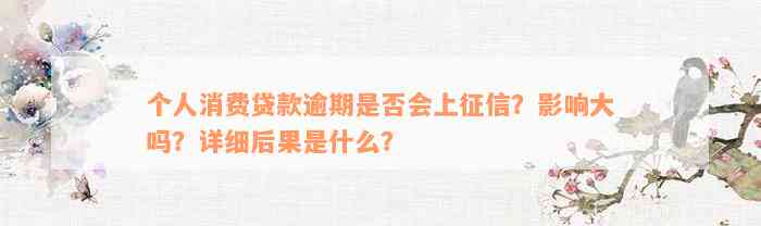 个人消费贷款逾期是否会上征信？影响大吗？详细后果是什么？