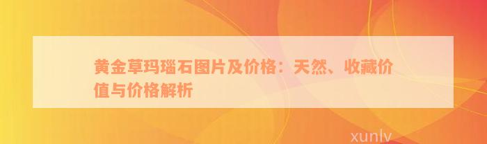 黄金草玛瑙石图片及价格：天然、收藏价值与价格解析