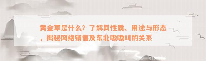 黄金草是什么？了解其性质、用途与形态，揭秘网络销售及东北嗷嗷叫的关系